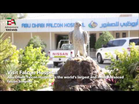 Abu Dhabi city tours - Adventure Emirates Abu Dhabi city sightseeing tour collections