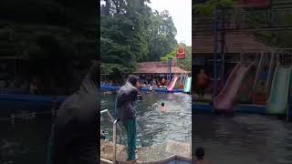 Download lagu Wisata Cibulan (Ikan Dewa) Kuningan Jawa Barat mp3