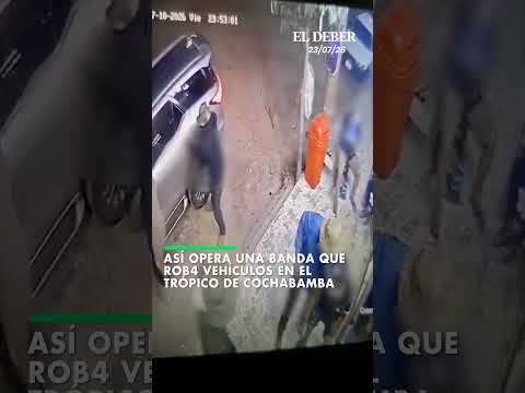 Así opera una banda que rob4 vehículos en el Trópico de Cochabamba