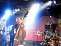 Red Snapper Wanga Doll Live in Belgrade