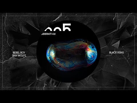 Rebel Boy, SAM WOLFE - Black Veins (Original Mix)
