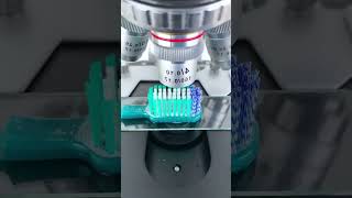 Download lagu After 1 use… this grows on your toothbrush 😨  #toothbrush  #microscope #sciecne mp3