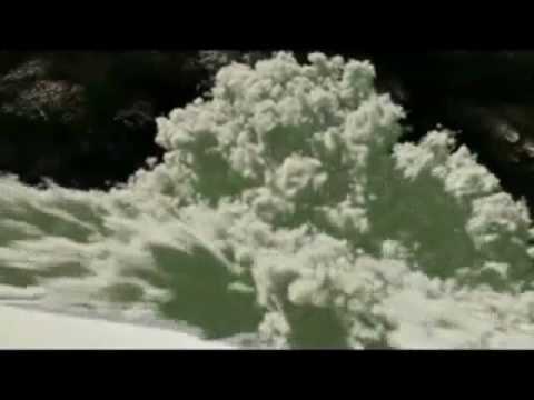 Urban Species - Destruction