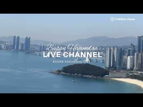 釜山・海雲台海水浴場のライブカメラ映像