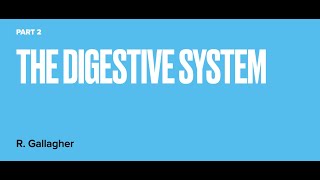 The Digestive System part 2