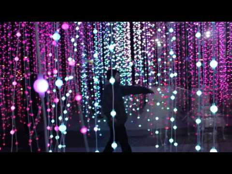 Danny Diatribe - Towards Balance (OFFICIAL VIDEO) Produced by Pro P