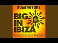 Why Can T We Live Together Big In Ibiza Mix
