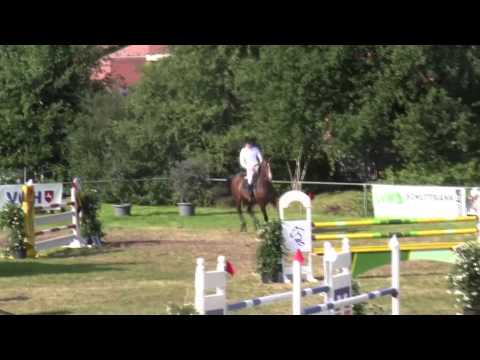 Stolzenberg X Grannox 6 years old