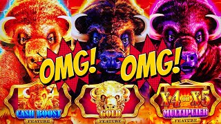 WOW! BIG BUFFALO WIN!! 🤑 NEW BUFFALO GOLD CASH COLLECTION Slot Machine (Aristocrat Gaming)