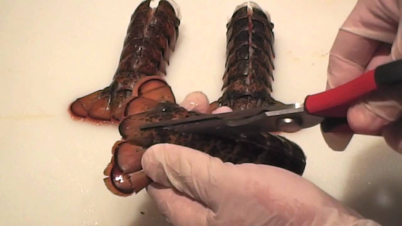 Watch video Craig's All Natural 3-4 oz Lobster Tail Grillers Now Craig's All Natural 3-4 oz Lobster Tail Grillers