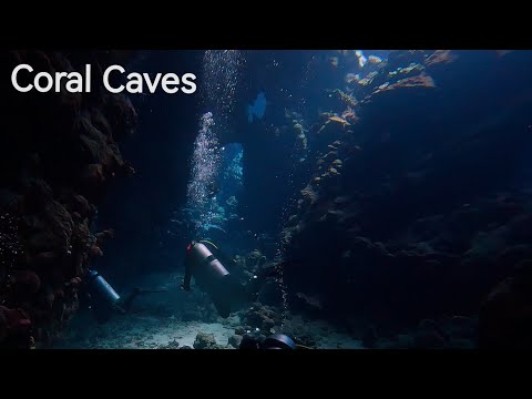 Coral Caves of the Red Sea. Zabargad & Sataya. Okt 2023.