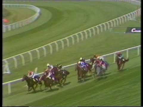 1991 Dickins & Jones Goodwood Cup