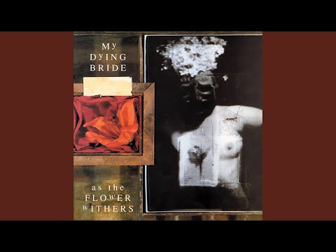 Video thumbnail for Silent Dance