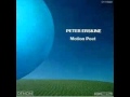 PETER ERSKINE - Not A Word