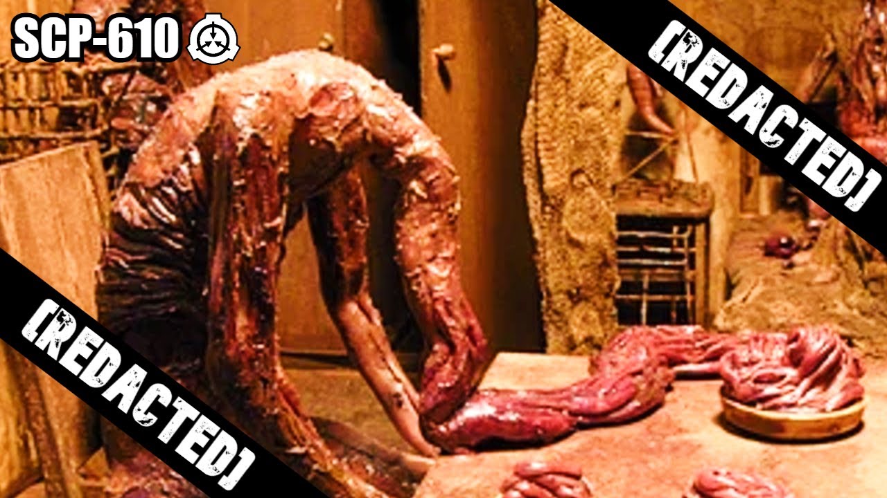 SCP Readings: SCP-610 The Flesh that Hates | object class keter | body horror / nightmare fuel scp