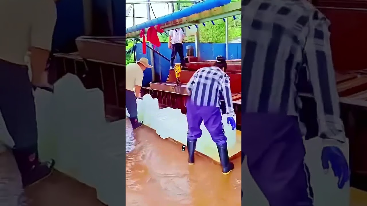 #knowledge #fyp #science #usa