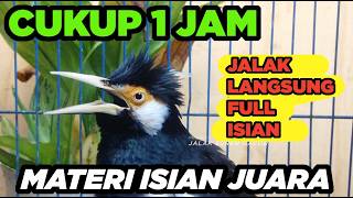 Download lagu Jalak Suren Kreasi Gacor Full Isian Variasi Mewah Suara Unik Cililin Tengkek mp3 Download lagu Jalak Suren Kreasi Gacor Full Isian Variasi Mewah Suara Unik Cililin Tengkek mp3