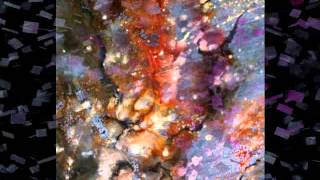 Pixel by Jeff Lorber Fusion