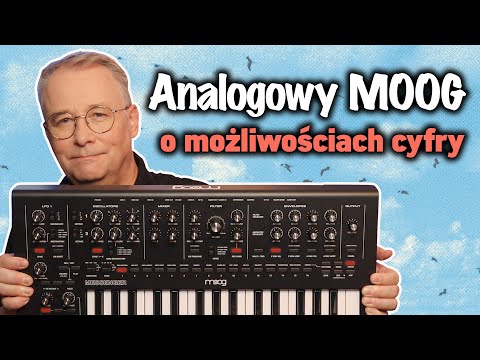 Moog Messenger Breaks the Rules | Test and Sounds