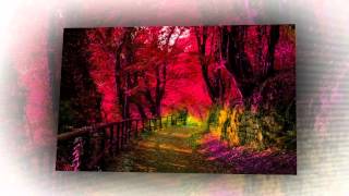 All The Way   Newsboys