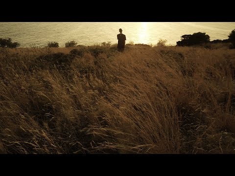 Sativa & Π.Ι.Ε.Β. - Ηθικός αυτουργός