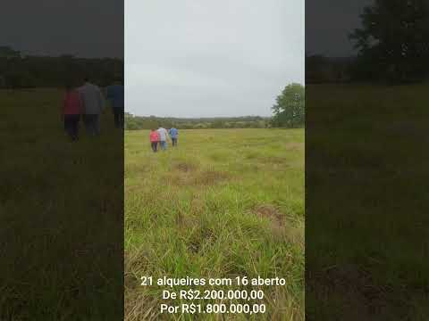 Propriedade a venda Castanheiras RO