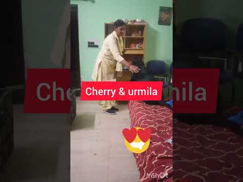 Cherry#Urmila#labrador #yuotubeshorts #trending