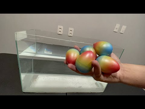 JOGUEI OVOS DE UNICÓRNIO DENTRO D'ÁGUA E ELES CRESCERAM!!!