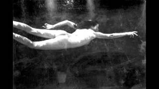 &quot;Young and Wilde&quot; by Poi dog pondering