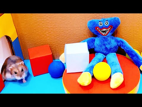 Hamster Escapes the Poppy Playtime Maze🐹 Huggy Wuggy Hamster Maze