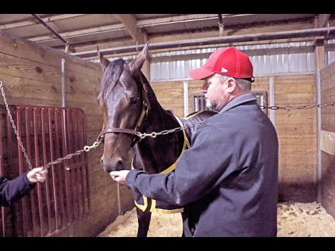 11-12-15 Morning Line - #25 (Final)