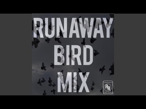 RunAway Bird