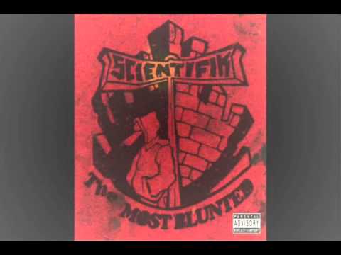 Scientifik - I aint the damn one