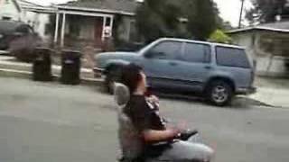 STUPID DUMB AND HYPHY