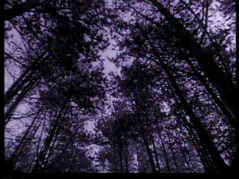 Gustafi Znan Da Je Zima