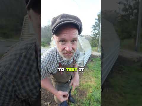 DIY Greenhouse Relocation: Moving a 16x10 Structure