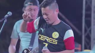 GADFLY -  MARRY ME JANE