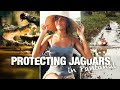 PANTANAL, BRAZIL – A Jaguar & Wildlife Paradise in Danger!