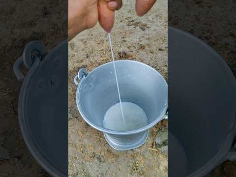 Choti choti gaiya fg