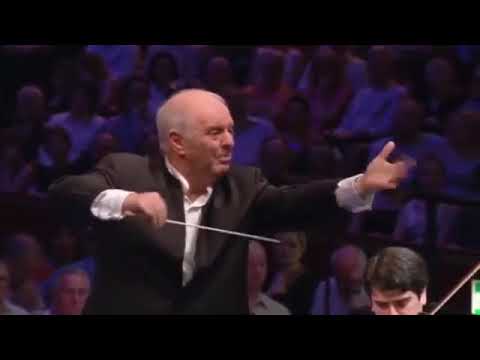 Angry Conductor (Barenboim)