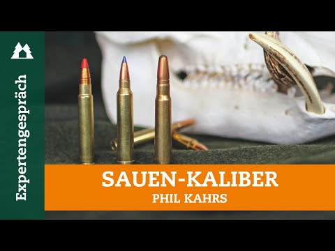 Wild boar calibers in check: These cartridges can be used for wild boar hunting!