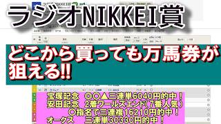 【競馬予想】ラジオNIKKEI賞予想