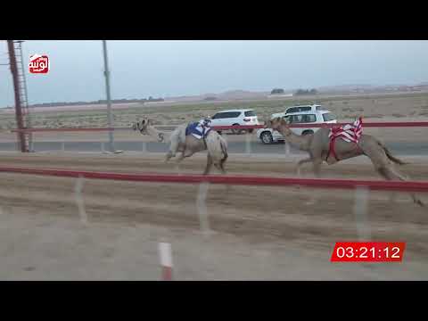  ش 2 (غاير) لـ سهيل محمد بن سهيل الحميري 6:34 ، مهرجان العين 2026/07/12 حول وزمول سويحان