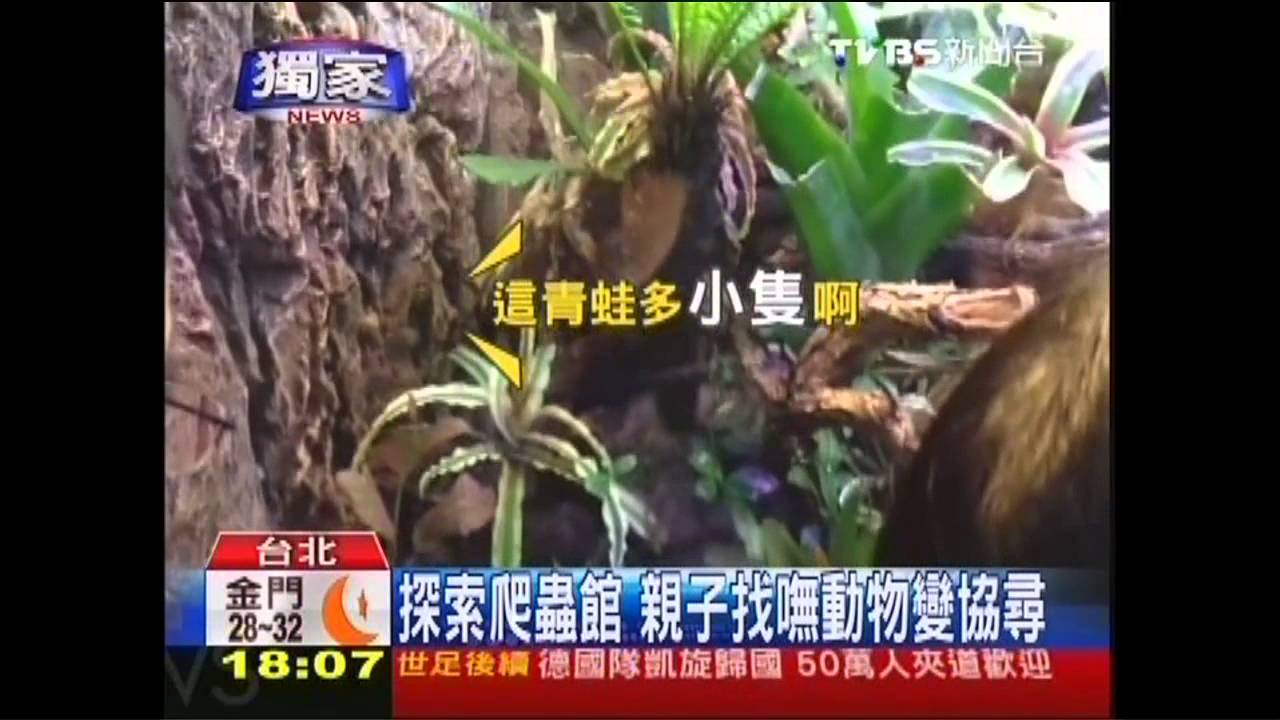 〈獨家〉探索爬蟲館　親子找嘸動物變協尋