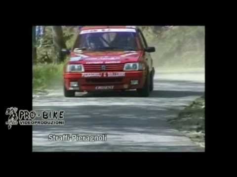One Shot Straffi-Pieragnoli Peugeot 205 1900 Gr A