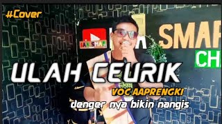 Download lagu ULAH CEURIK COVER POP SUNDA !!! VERSI VOC AAPRENGKI .denger suaranya bikin nangis mp3