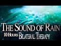 Bilateral Therapy * Light Rain * Nature Soundscapes to Release Stress, PTSD, Anxiety - Meditation