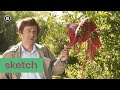 Een knokpartij tussen hakers en breiers | Sketch