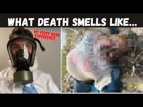 What I Think Death Smells Like… (Stories From A Crime Scene Cleaner)