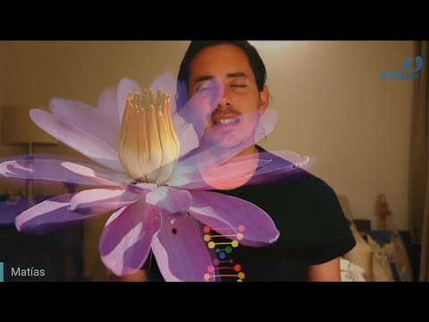 Day 343 FLOWER Alignment - Matias De Stefano - English Edit